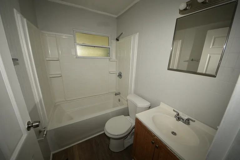 Bathroom with tub-shower combination and wood vanity