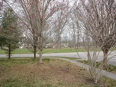 3 Woodsong Ct, Amelia OH 45102 - Photo 2